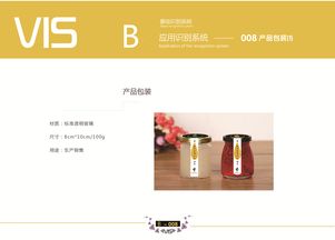 企業(yè)形象VI設(shè)計(jì) 策略與視覺的統(tǒng)一