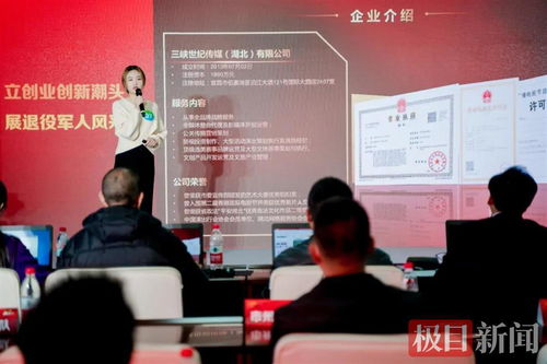 宜昌軍創企業閃耀“軍創杯”，躋身全省三強并賦能文化藝術交流